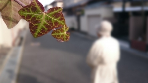 【切実】リスクも覚悟の在宅介護・・