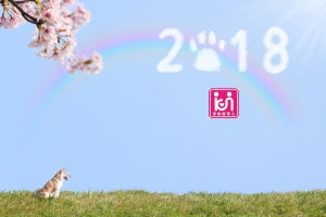 明けましておめでとうございます！