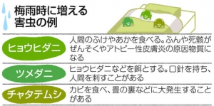 アレルギーに注意！